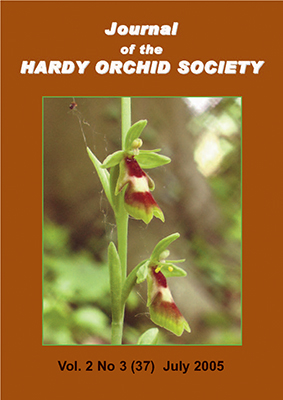 Ophrys insectifera forma luteomarginata 