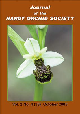 Ophrys philippei